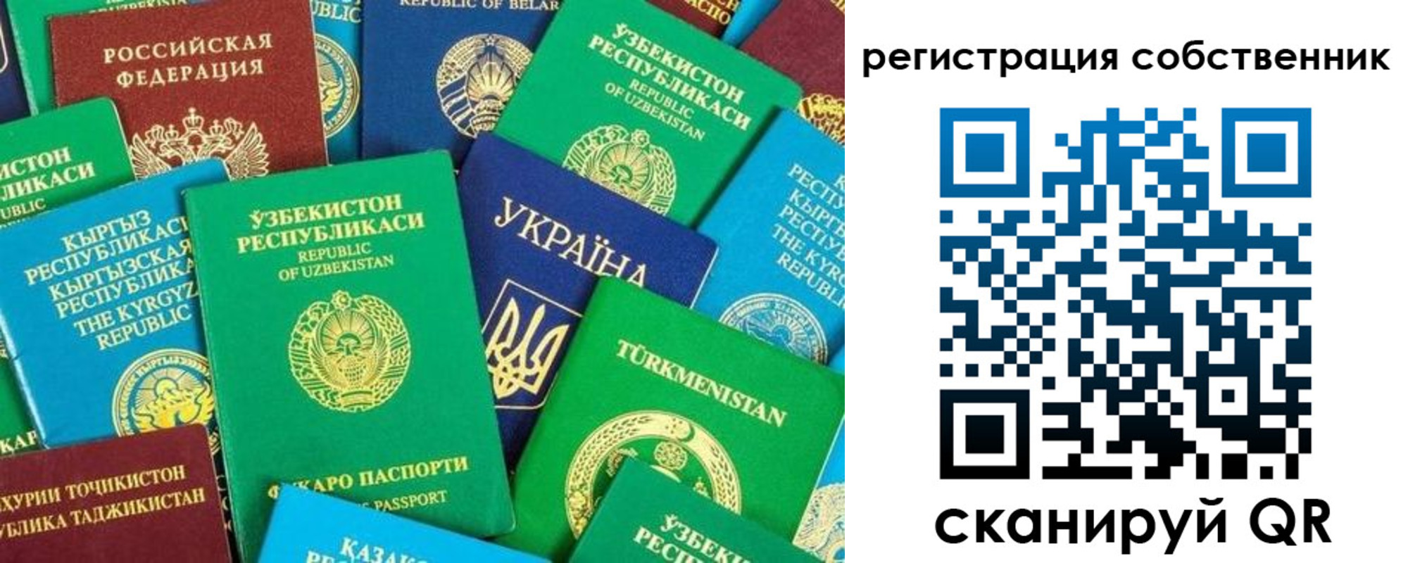 прописка в Владимирской области